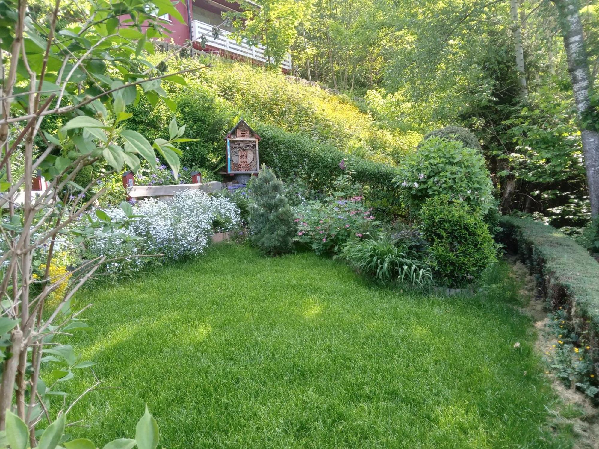 Haus Wiesental Kleines Wiesental المظهر الخارجي الصورة