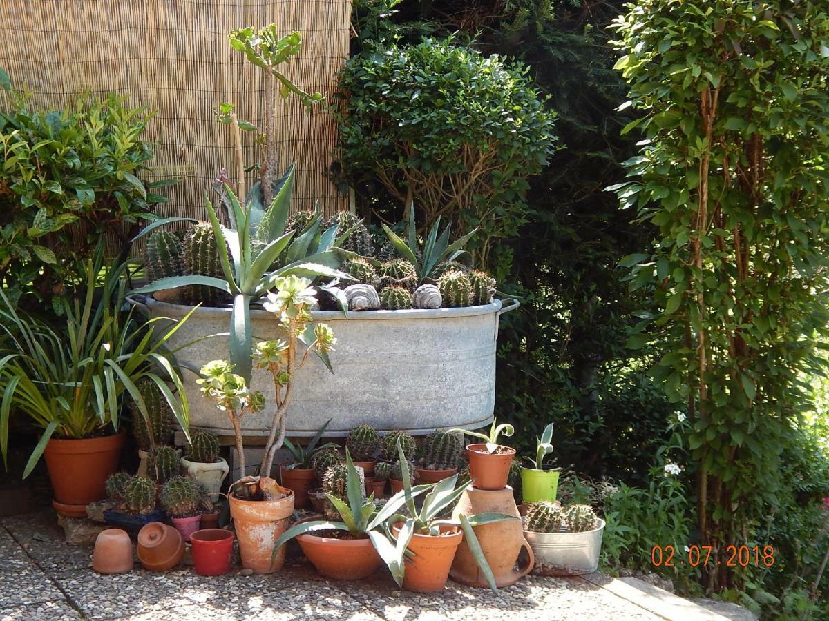 Haus Wiesental Kleines Wiesental المظهر الخارجي الصورة